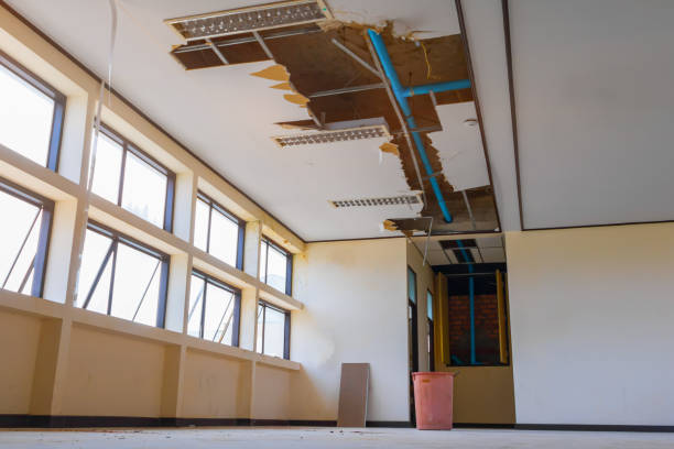Best Water damage contractors near me  in Halfway House, PA