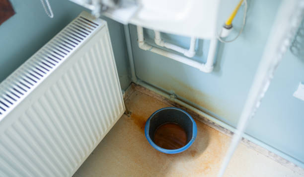 Best Water damage cleanup near me  in Halfway House, PA