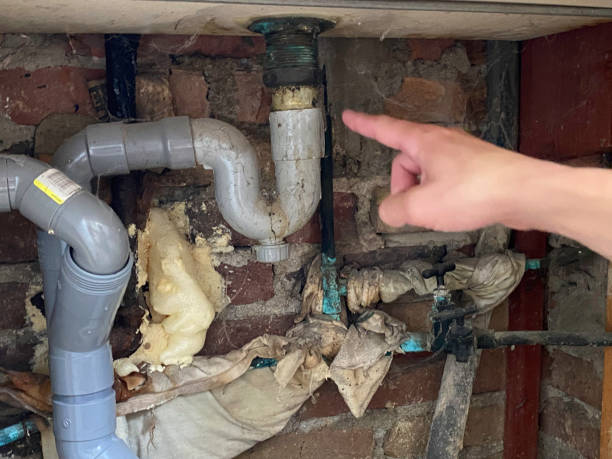 Best Flood restoration services  in Halfway House, PA